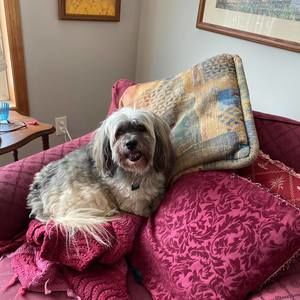 Meet your Posher, Margaret